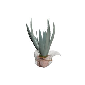 دانلود آبجکت گل مدل Floret-46