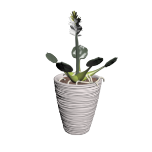 دانلود آبجکت گل مدل Floret-47