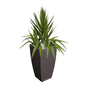 دانلود آبجکت گل مدل Floret-49