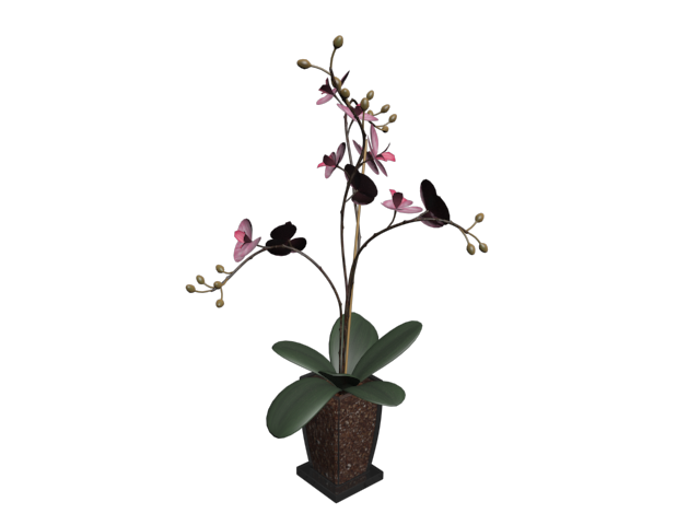 دانلود آبجکت گل مدل Floret-53