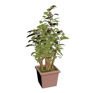 دانلود آبجکت گل مدل Floret-54