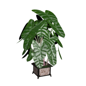 دانلود آبجکت گل مدل Floret-58