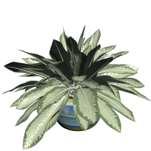 دانلود آبجکت گل مدل Floret-59