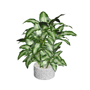 دانلود آبجکت گل مدل Floret-62