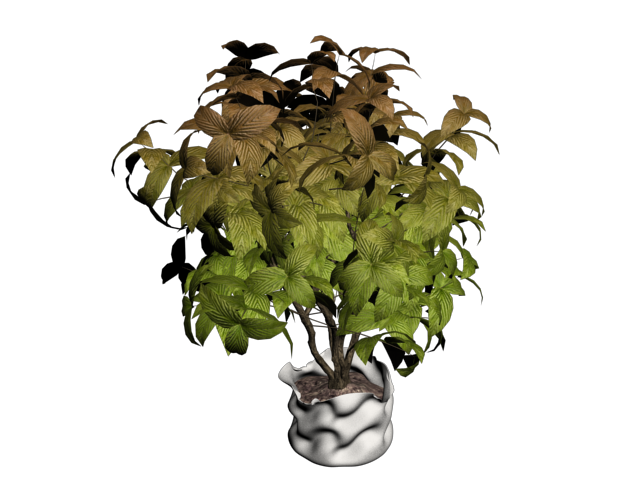 دانلود آبجکت گل مدل Floret-8
